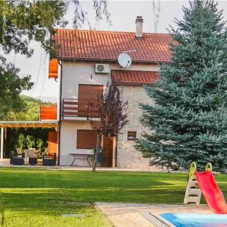 Villa Leko Dream House Cetina Extérieur photo