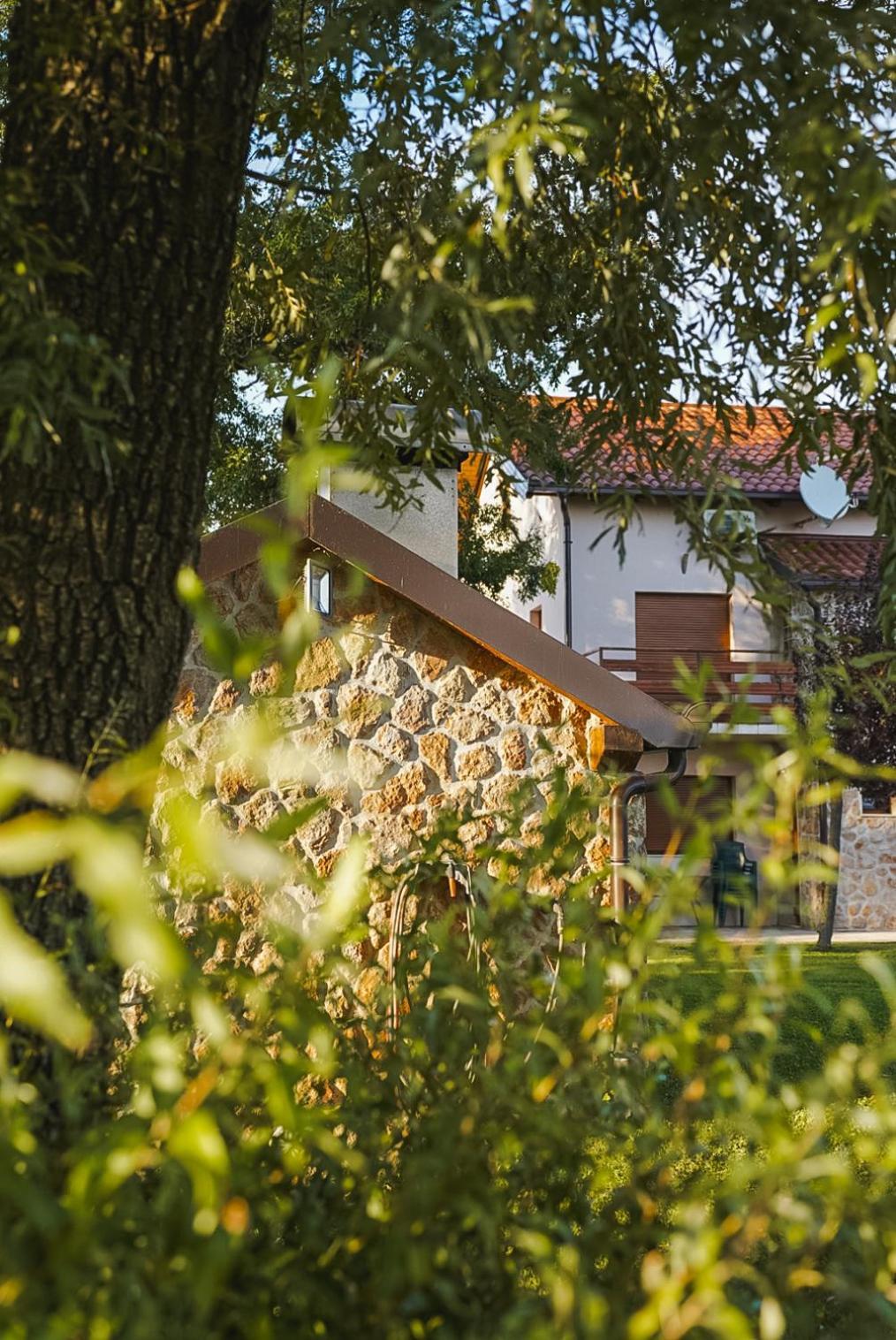 Villa Leko Dream House Cetina Extérieur photo